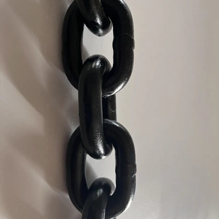 Customizable Manganèz Steel Leve Chain Cho
